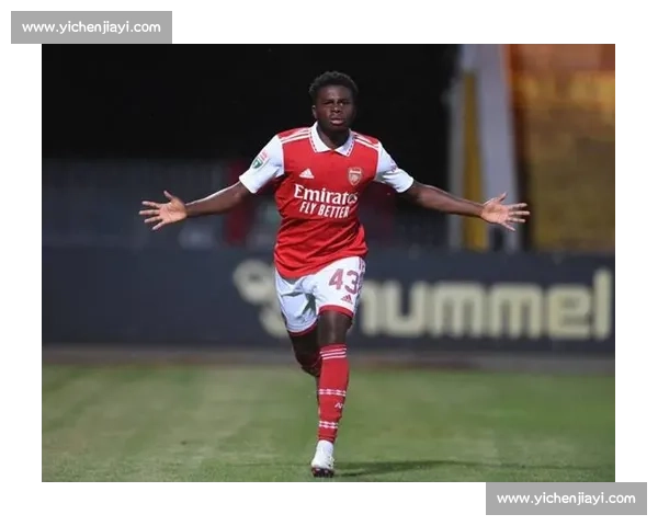 尼科尔:你无法反对阿森纳赢英超 尼科尔:你无法反对阿森纳赢英超